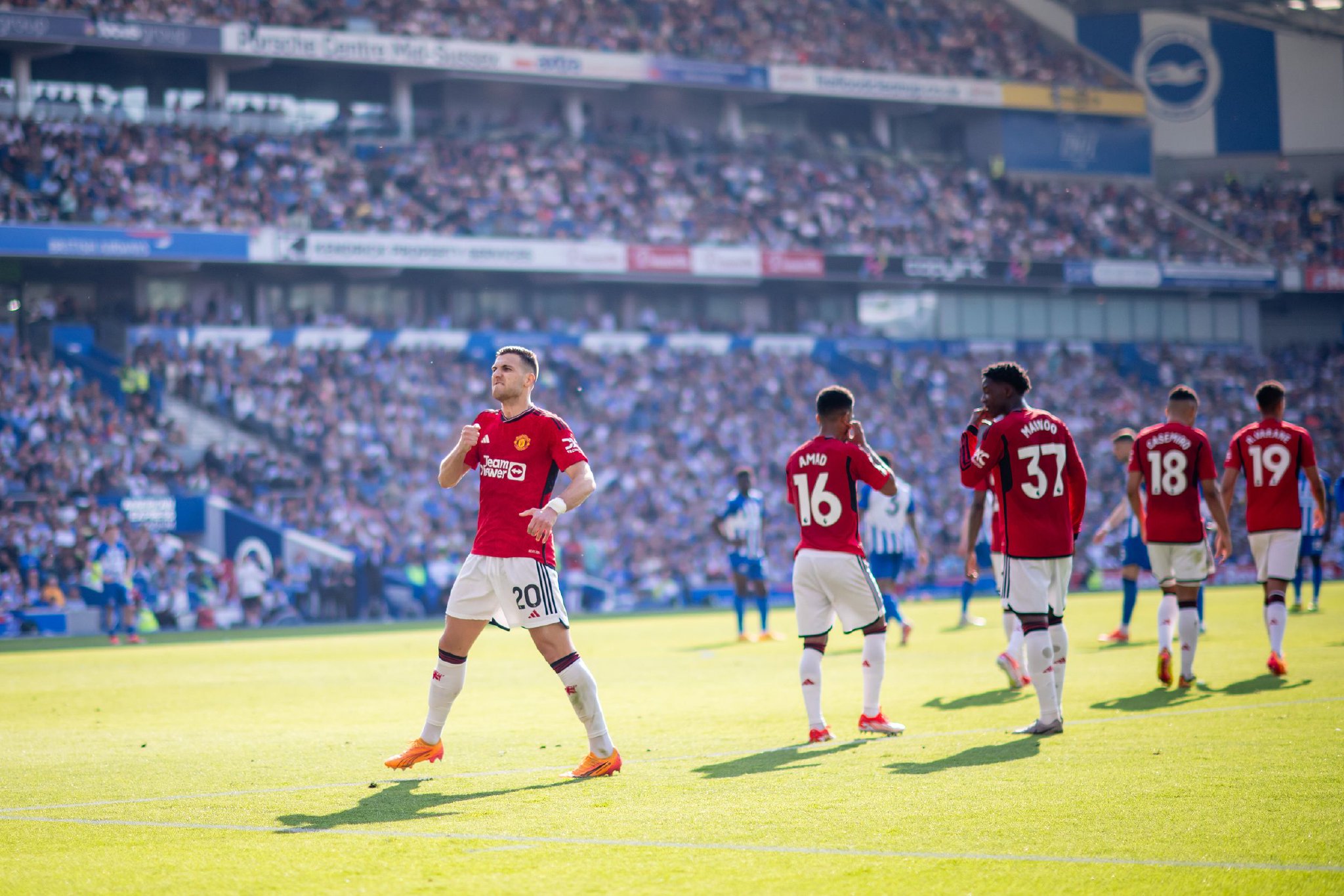 许多拳手学 许多拳手学